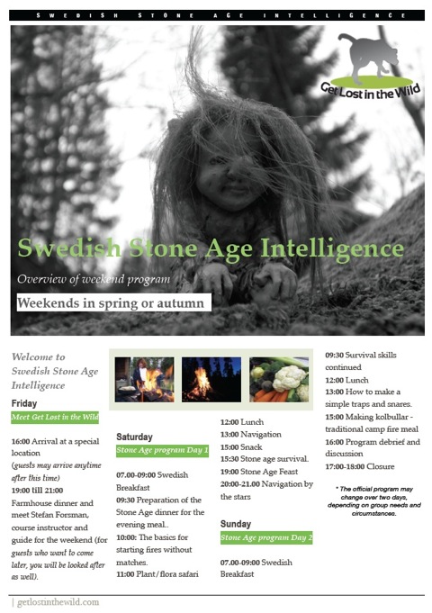 Swedish Stone Age Intelligence 